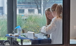 Fingerprinting London UK Europe 